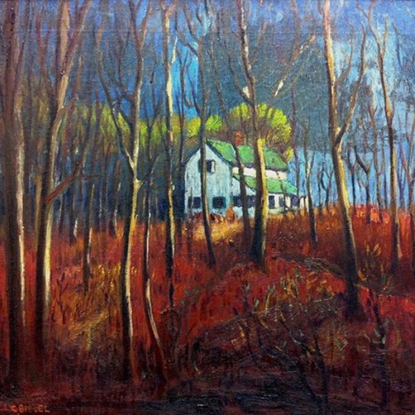 Charles Biesel's White House in Furnessville