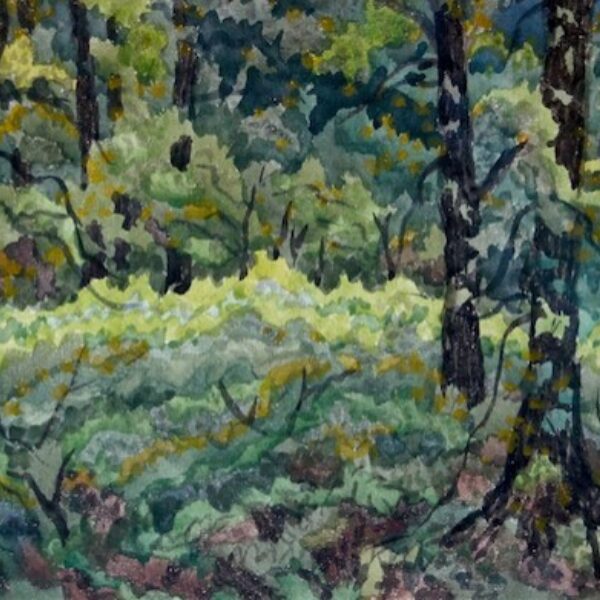 Emil Armin's Wood Carpet