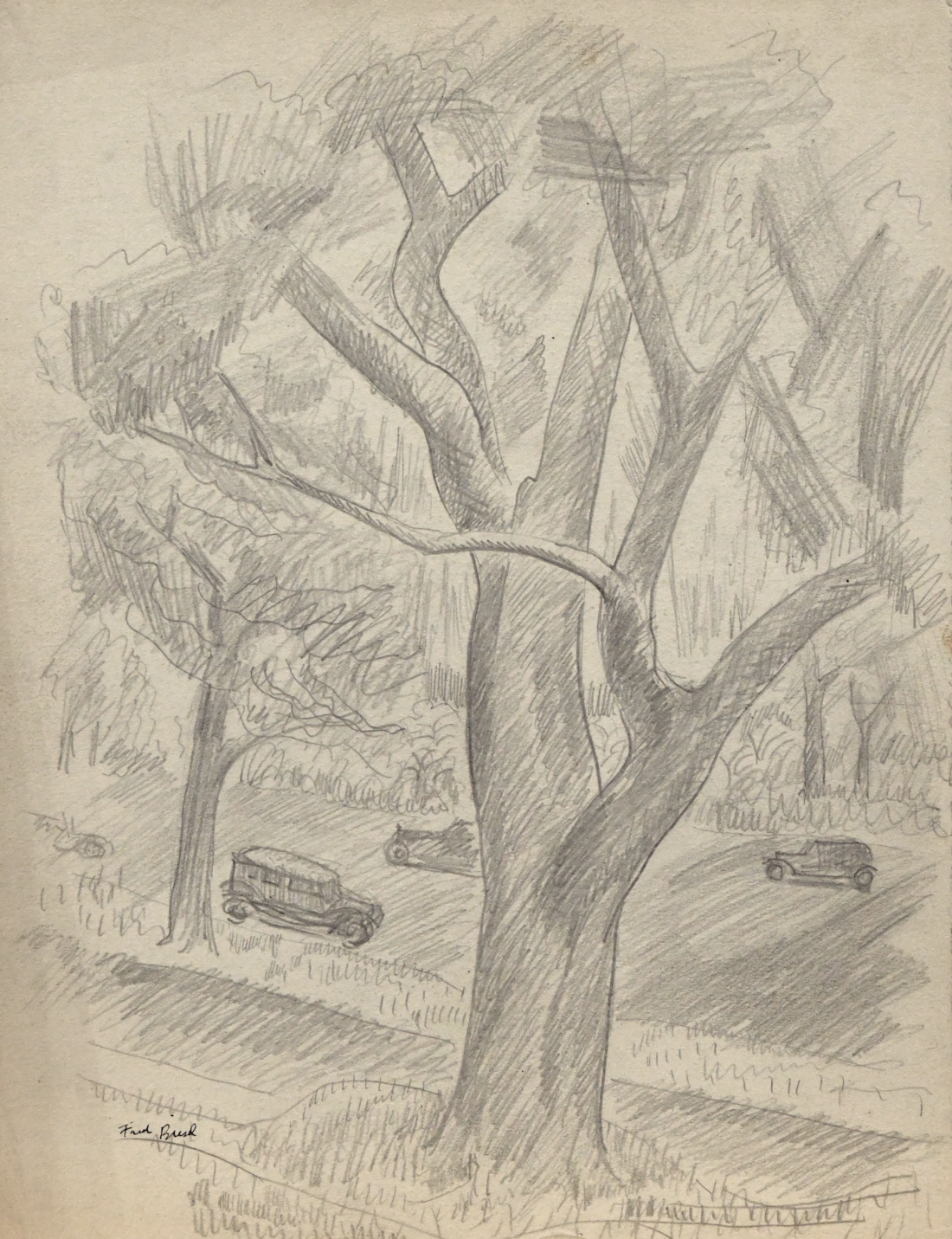 Apple Trees in Furnessville