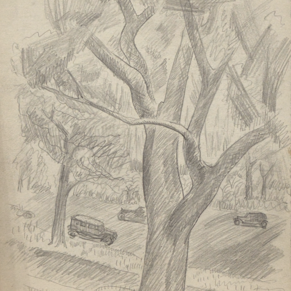 Fred Biesel's Apple Trees in Furnessville