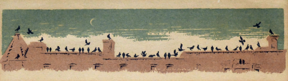 Untitled (Birds on rooftop)