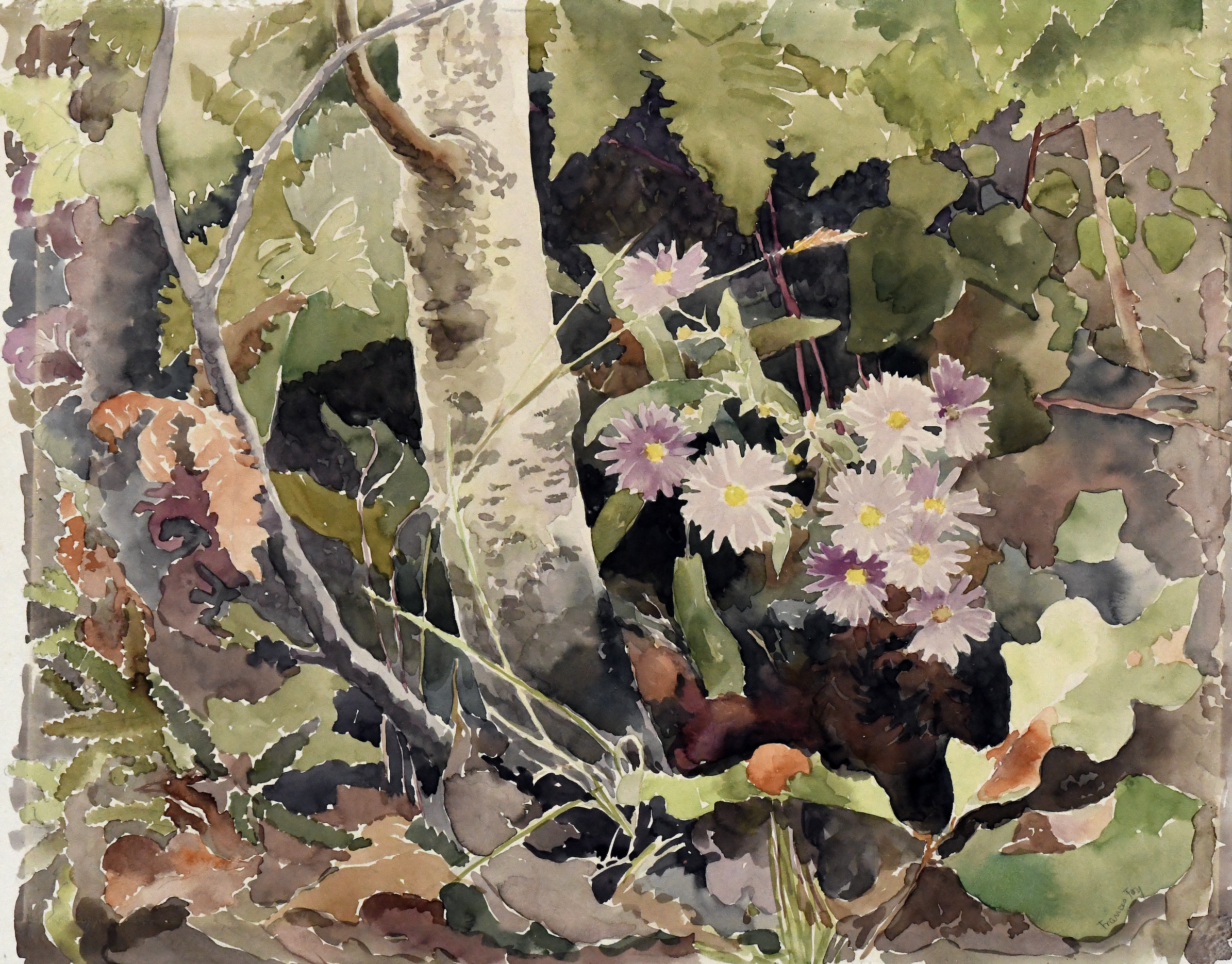 Untitled (flora)