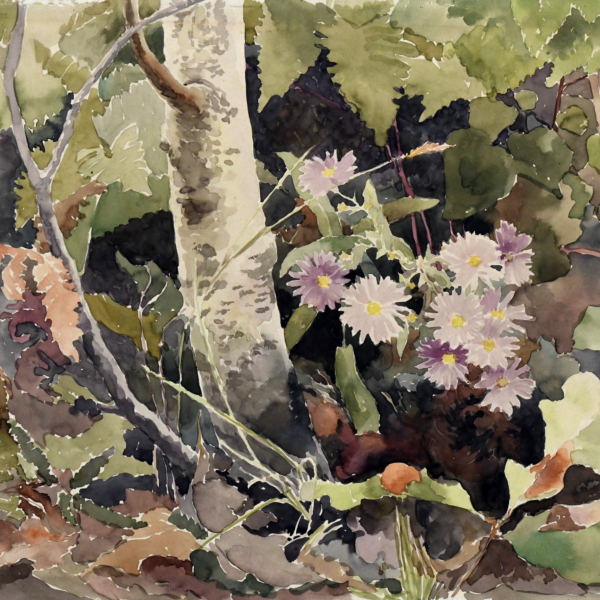 Frances Foy's Untitled (flora)