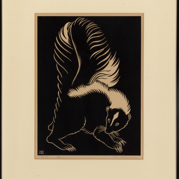 Belle Baranceanu's Skunk