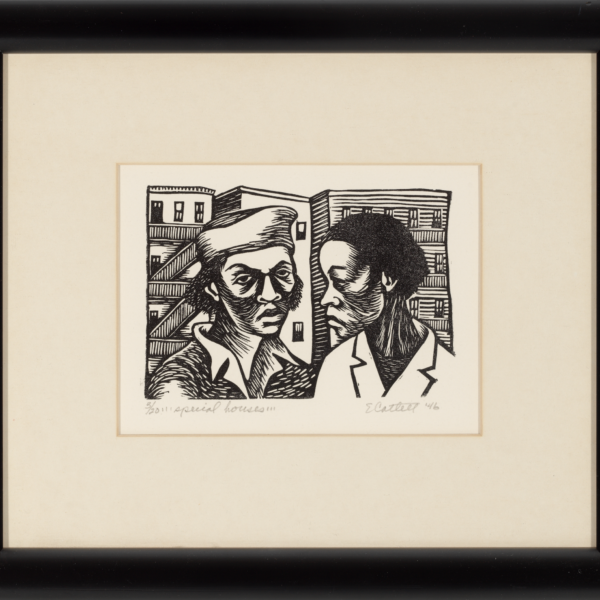 Elizabeth Catlett's Special Houses